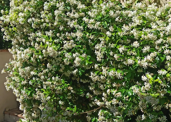 Appartamento Casa Bubu *